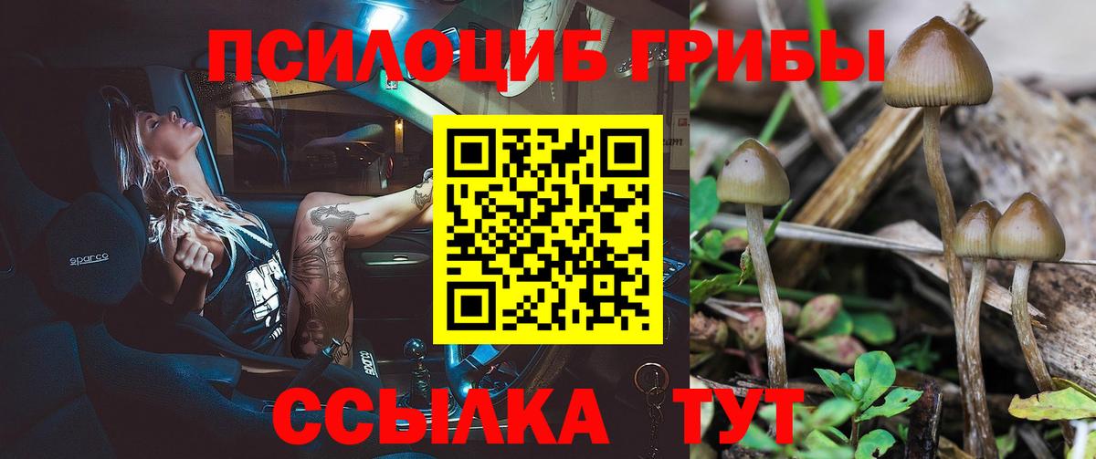 Елец  где найти   Вход с VPN  Псилоцибиновые грибы MAGIC MUSHROOMS 